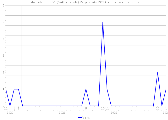 Lily Holding B.V. (Netherlands) Page visits 2024 