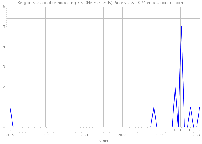 Bergon Vastgoedbemiddeling B.V. (Netherlands) Page visits 2024 