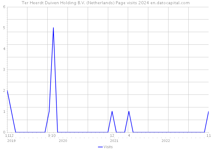 Ter Heerdt Duiven Holding B.V. (Netherlands) Page visits 2024 