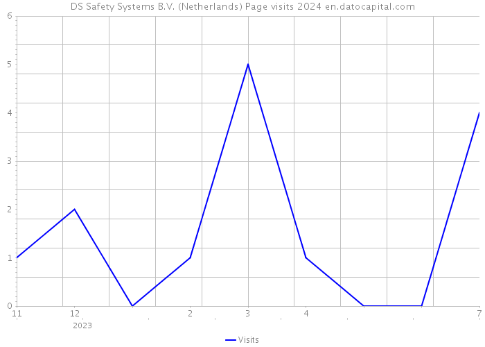 DS Safety Systems B.V. (Netherlands) Page visits 2024 