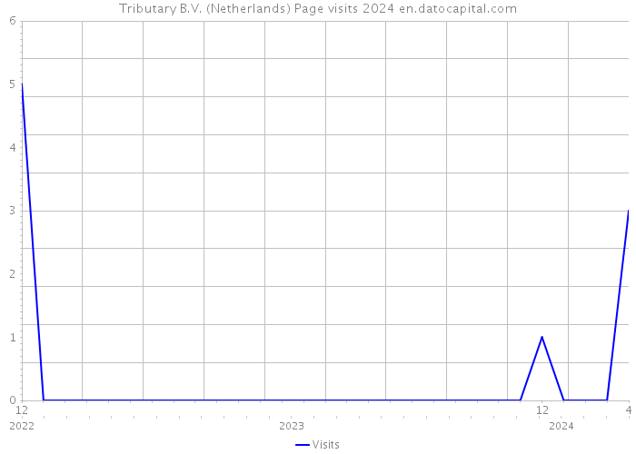 Tributary B.V. (Netherlands) Page visits 2024 
