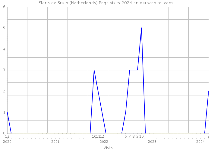 Floris de Bruin (Netherlands) Page visits 2024 