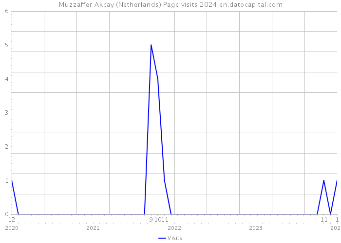 Muzzaffer Akçay (Netherlands) Page visits 2024 