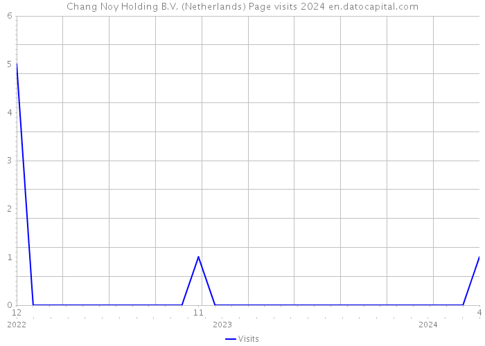 Chang Noy Holding B.V. (Netherlands) Page visits 2024 