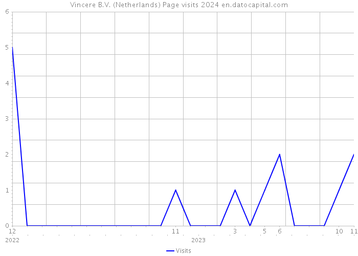 Vincere B.V. (Netherlands) Page visits 2024 
