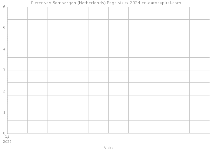 Pieter van Bambergen (Netherlands) Page visits 2024 