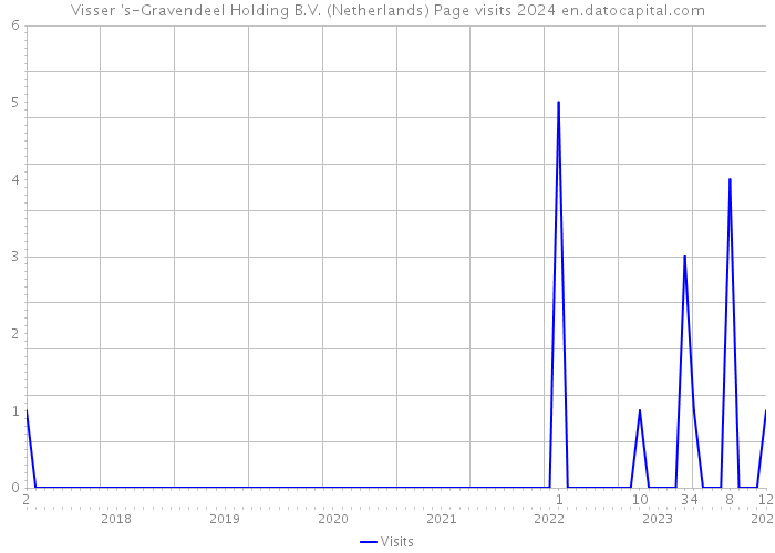 Visser 's-Gravendeel Holding B.V. (Netherlands) Page visits 2024 