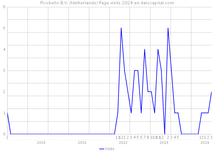 Picobello B.V. (Netherlands) Page visits 2024 