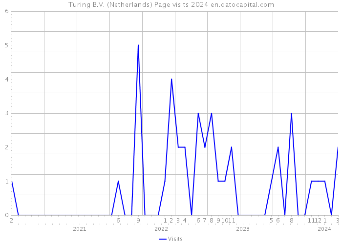 Turing B.V. (Netherlands) Page visits 2024 