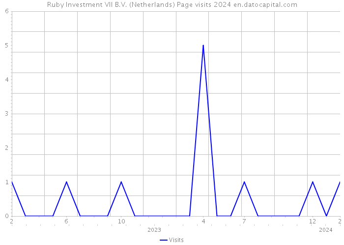 Ruby Investment VII B.V. (Netherlands) Page visits 2024 