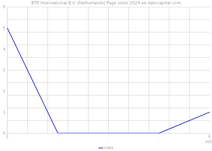 BTR International B.V. (Netherlands) Page visits 2024 