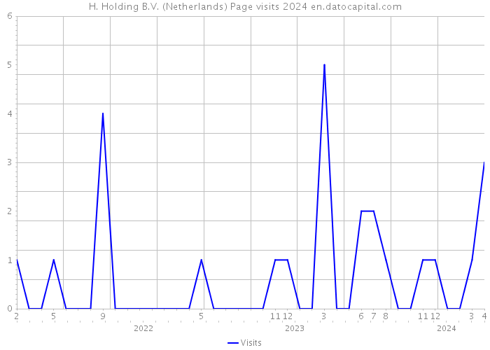 H. Holding B.V. (Netherlands) Page visits 2024 