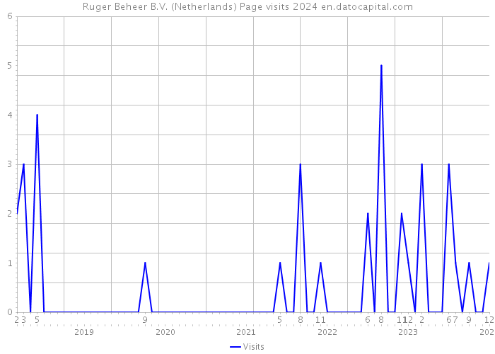 Ruger Beheer B.V. (Netherlands) Page visits 2024 