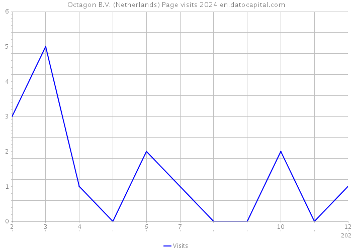 Octagon B.V. (Netherlands) Page visits 2024 
