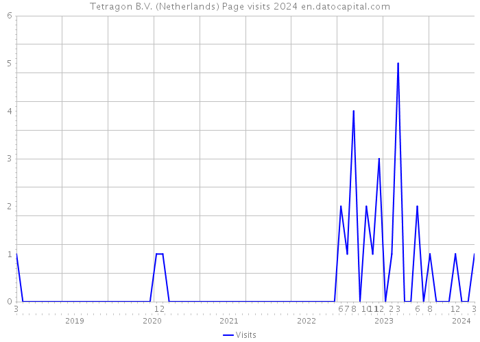 Tetragon B.V. (Netherlands) Page visits 2024 