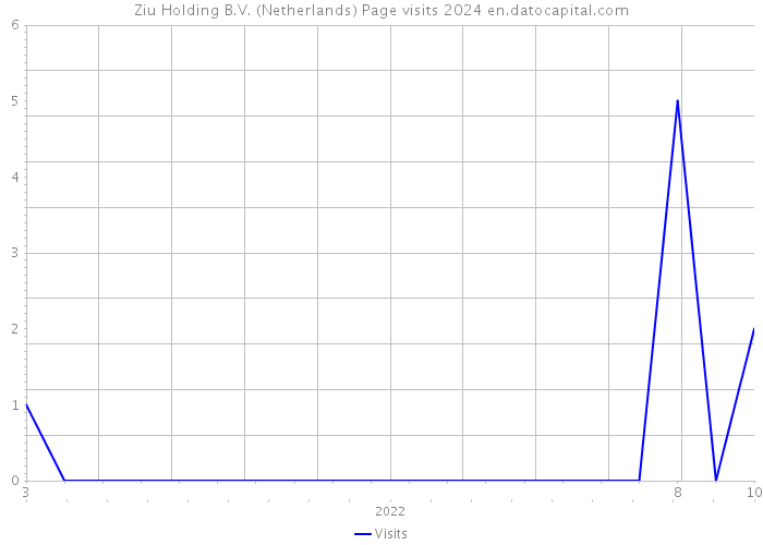 Ziu Holding B.V. (Netherlands) Page visits 2024 