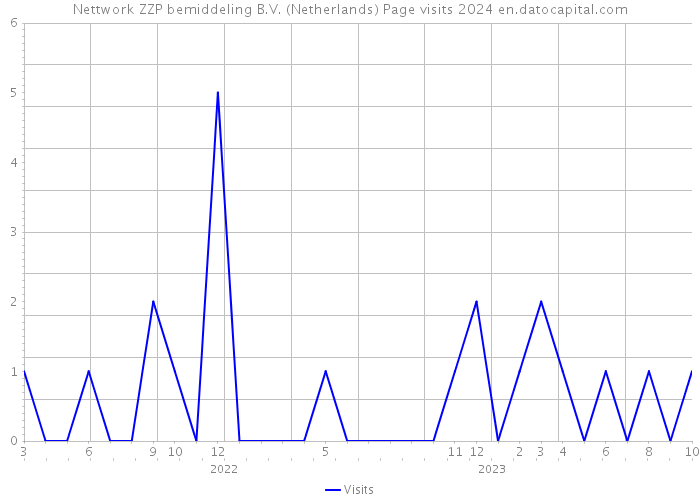 Nettwork ZZP bemiddeling B.V. (Netherlands) Page visits 2024 