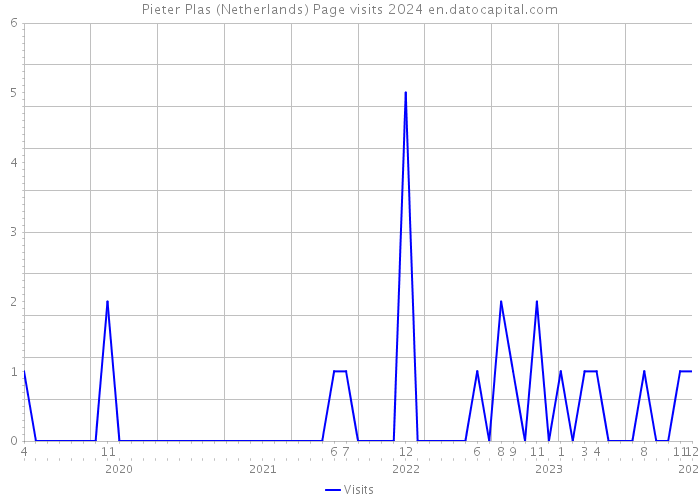Pieter Plas (Netherlands) Page visits 2024 
