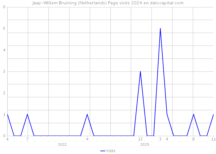 Jaap-Willem Bruining (Netherlands) Page visits 2024 