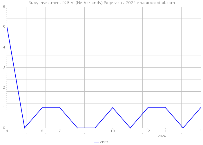 Ruby Investment IX B.V. (Netherlands) Page visits 2024 