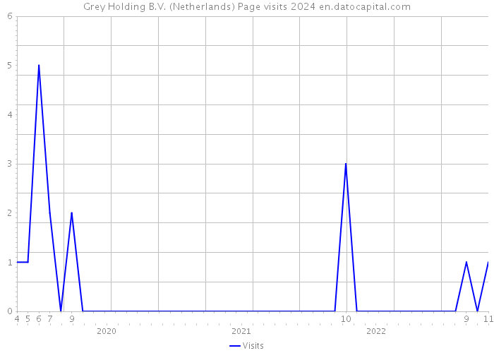 Grey Holding B.V. (Netherlands) Page visits 2024 