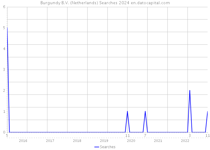 Burgundy B.V. (Netherlands) Searches 2024 