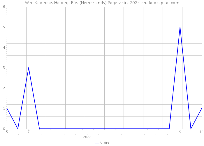 Wim Koolhaas Holding B.V. (Netherlands) Page visits 2024 