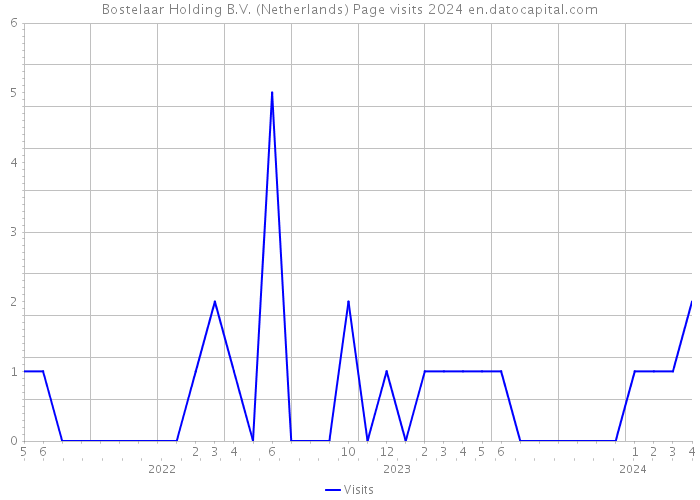 Bostelaar Holding B.V. (Netherlands) Page visits 2024 