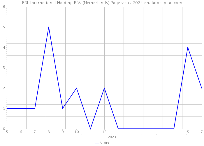 BRL International Holding B.V. (Netherlands) Page visits 2024 