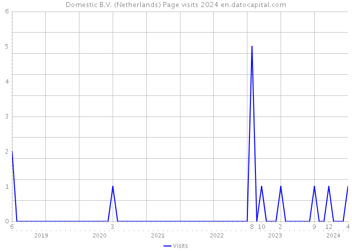 Domestic B.V. (Netherlands) Page visits 2024 