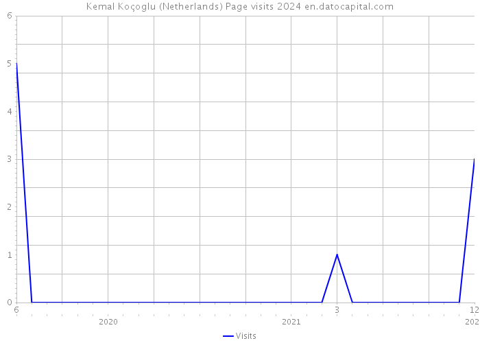 Kemal Koçoglu (Netherlands) Page visits 2024 