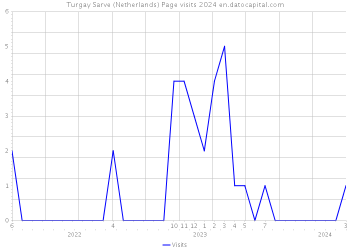 Turgay Sarve (Netherlands) Page visits 2024 