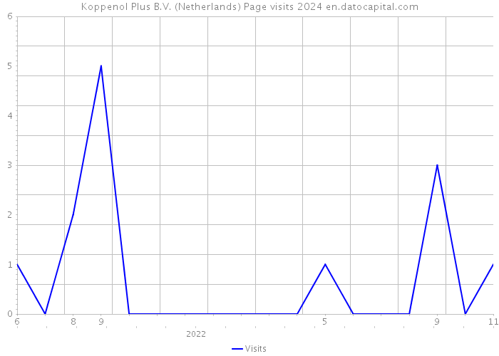 Koppenol Plus B.V. (Netherlands) Page visits 2024 