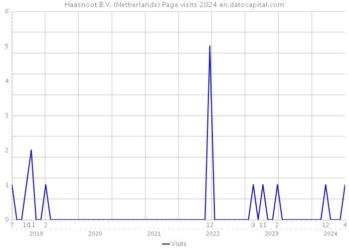 Haasnoot B.V. (Netherlands) Page visits 2024 