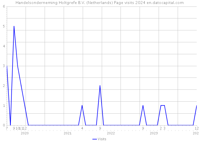Handelsonderneming Holtgrefe B.V. (Netherlands) Page visits 2024 