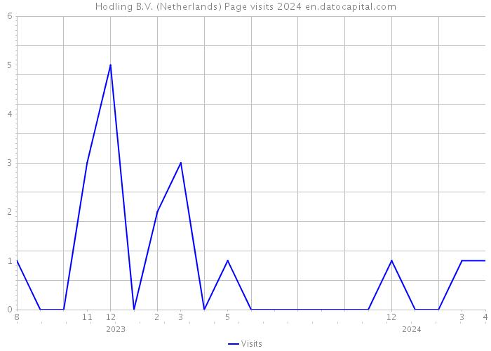 Hodling B.V. (Netherlands) Page visits 2024 