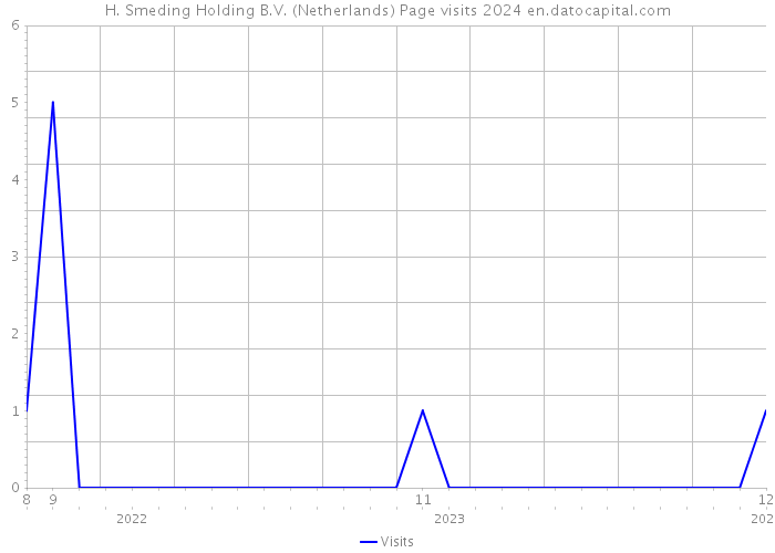 H. Smeding Holding B.V. (Netherlands) Page visits 2024 