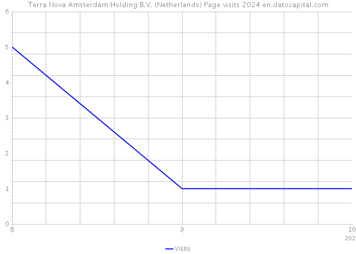 Terra Nova Amsterdam Holding B.V. (Netherlands) Page visits 2024 