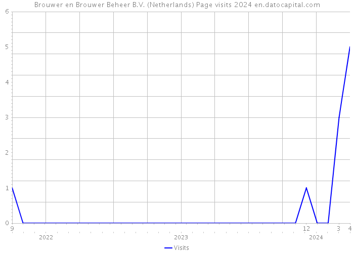 Brouwer en Brouwer Beheer B.V. (Netherlands) Page visits 2024 