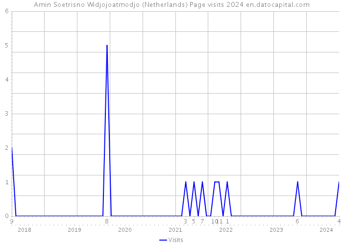 Amin Soetrisno Widjojoatmodjo (Netherlands) Page visits 2024 