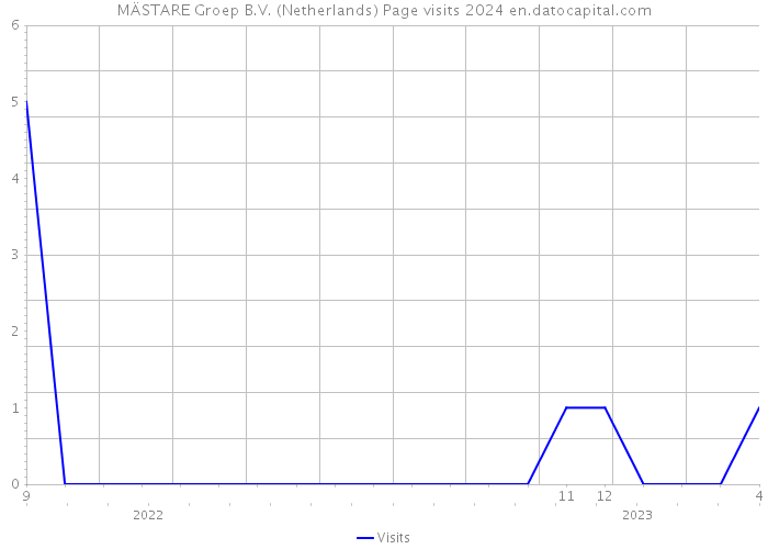 MÄSTARE Groep B.V. (Netherlands) Page visits 2024 