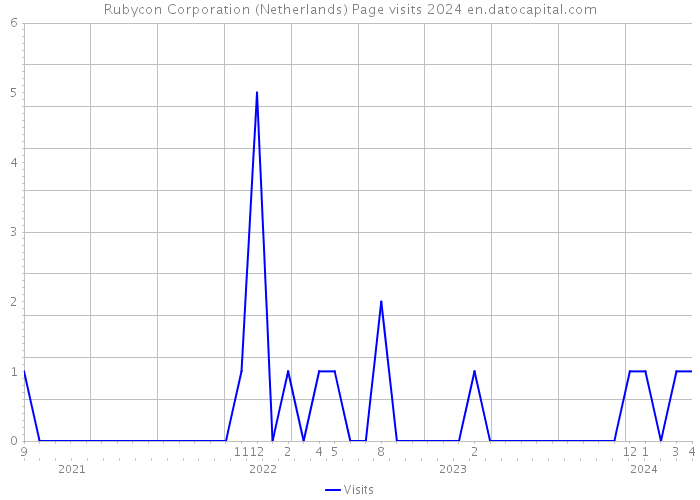 Rubycon Corporation (Netherlands) Page visits 2024 