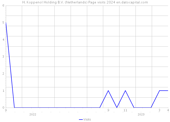 H. Koppenol Holding B.V. (Netherlands) Page visits 2024 