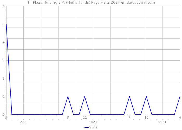 TT Plaza Holding B.V. (Netherlands) Page visits 2024 