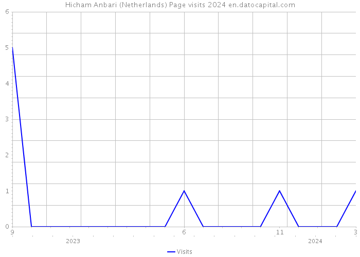 Hicham Anbari (Netherlands) Page visits 2024 