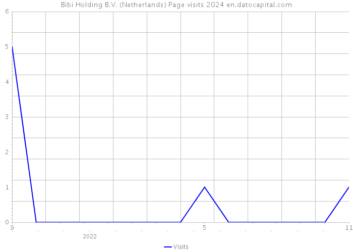 Bibi Holding B.V. (Netherlands) Page visits 2024 