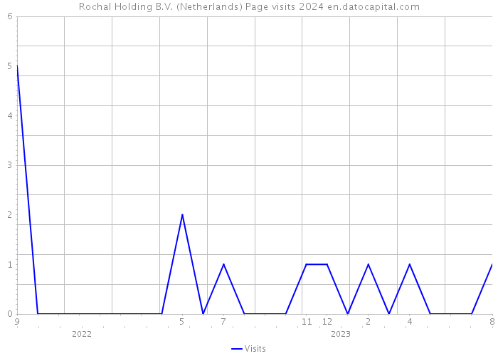 Rochal Holding B.V. (Netherlands) Page visits 2024 