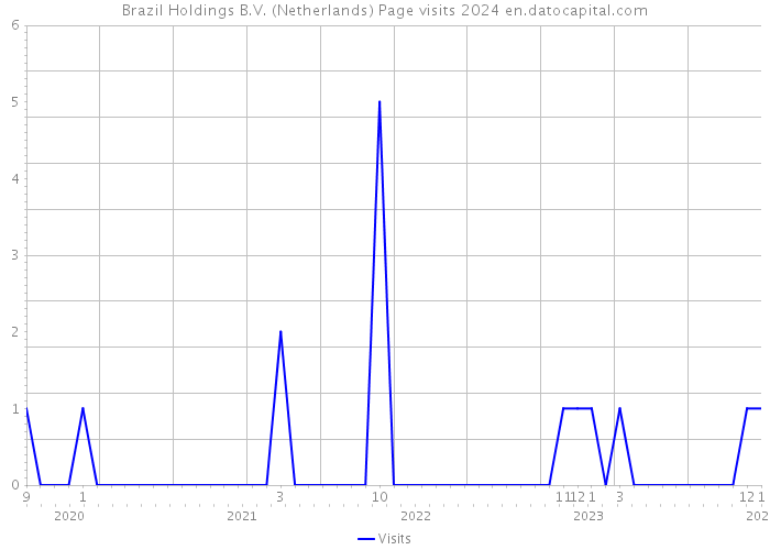 Brazil Holdings B.V. (Netherlands) Page visits 2024 