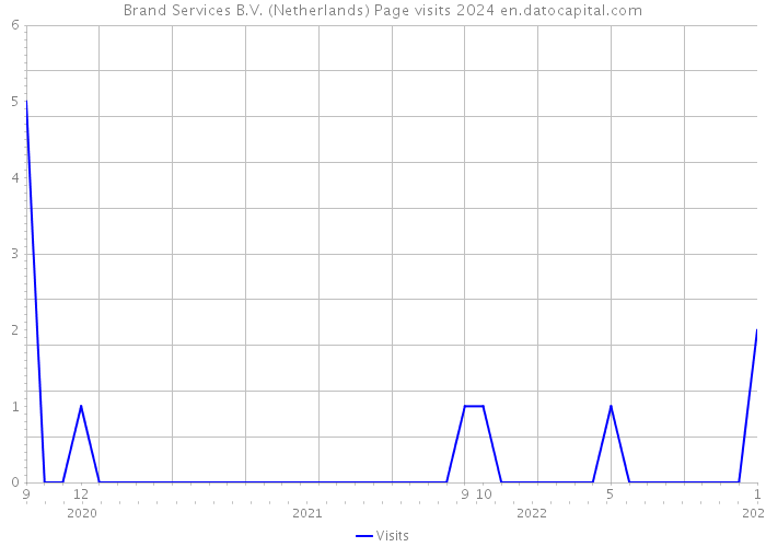 Brand Services B.V. (Netherlands) Page visits 2024 