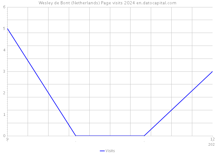Wesley de Bont (Netherlands) Page visits 2024 